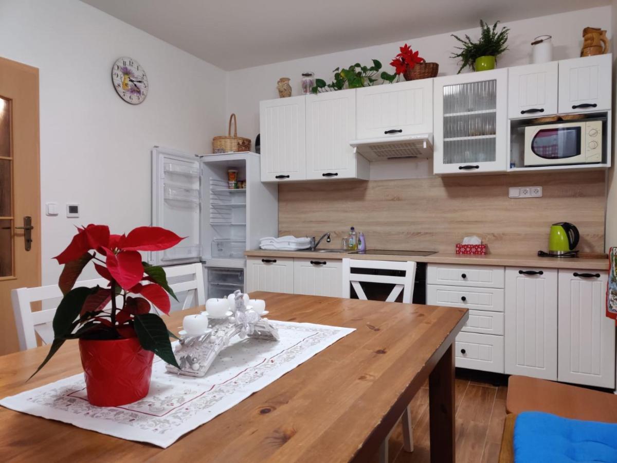 Apartman Pod Bozim Darem ヤーヒモフ エクステリア 写真
